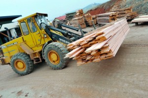 wood industry relocation
