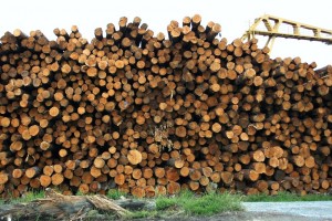 wood ind 2